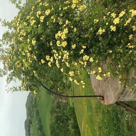 فندق La Pace Belforte allʼIsauro
