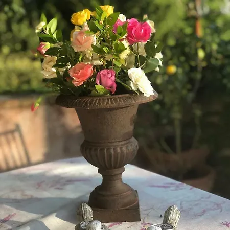 La Pace Belforte allʼIsauro