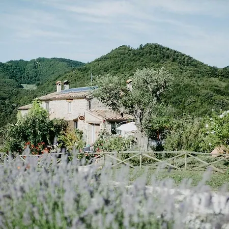 La Pace Vakantieboerderij *