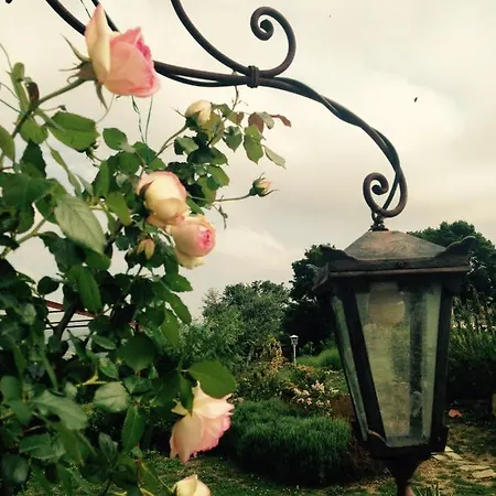 La Pace 3* Belforte allʼIsauro