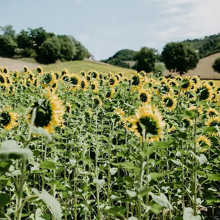 La Pace מלון Belforte allʼIsauro
