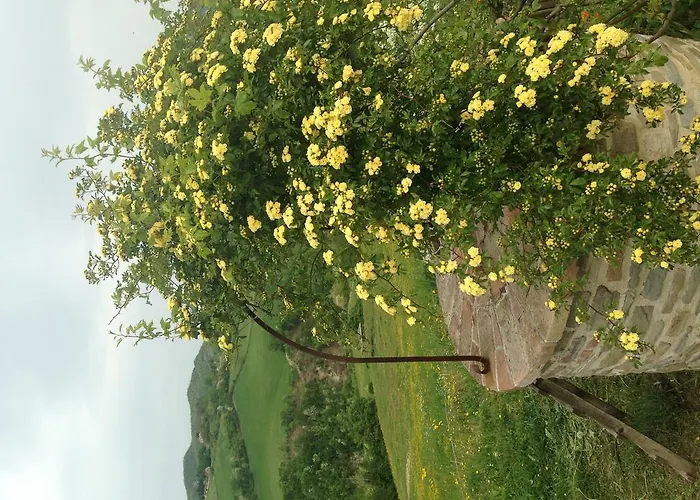 Hotel La Pace Belforte allʼIsauro