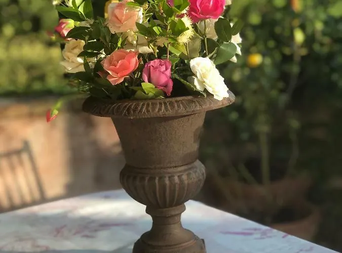 La Pace Belforte allʼIsauro